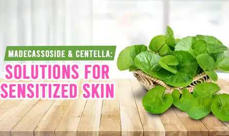 Madecassoside Powder vs Centella Asiatica Extract: Key Differences
